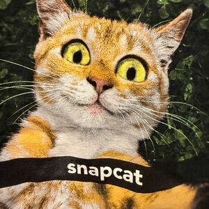 Snapchat Selfie Orange Tabby Tee